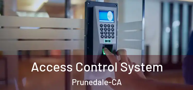 Access Control System Prunedale-CA